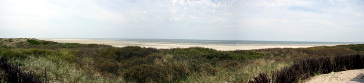 Blick vom Dünenweg auf den Strand Spiekeroogs