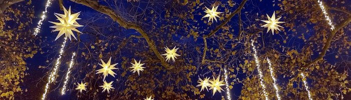 Geschmückte Sterne in den Bäumen über dem Neumarkt