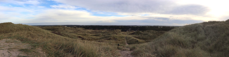 Blick über die Dünen von Vedersø Klit